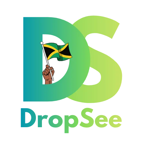 DropSee